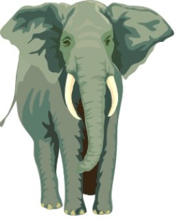 elephant - Copy